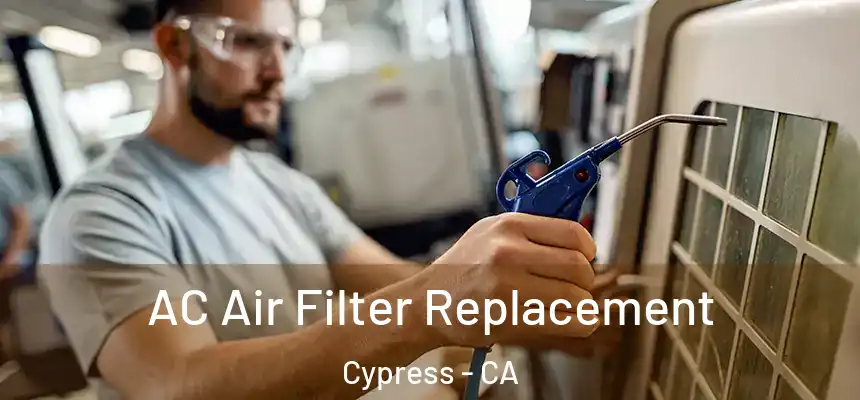  AC Air Filter Replacement Cypress - CA