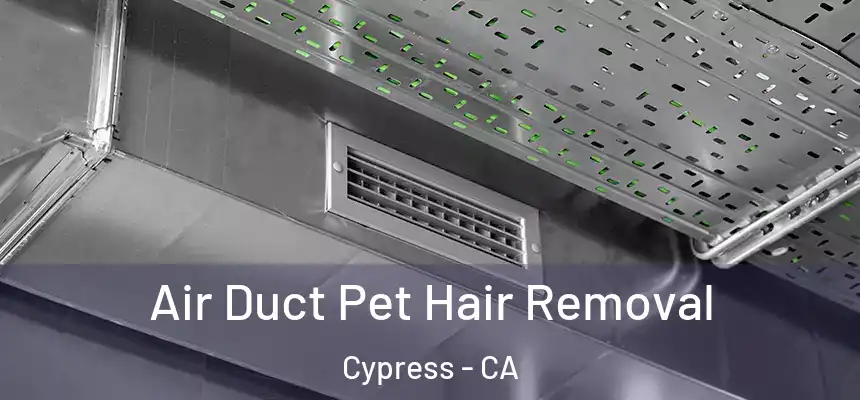  Air Duct Pet Hair Removal Cypress - CA