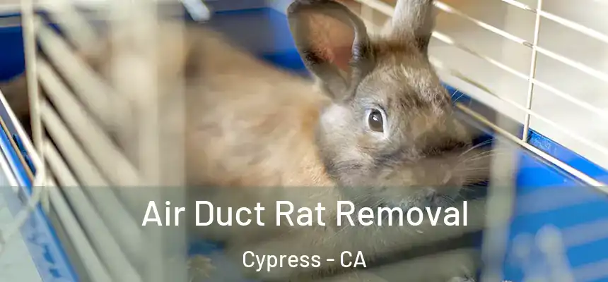  Air Duct Rat Removal Cypress - CA