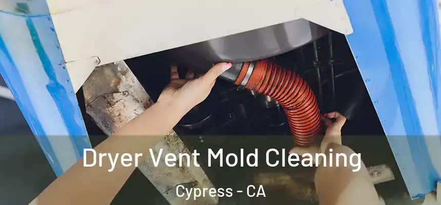  Dryer Vent Mold Cleaning Cypress - CA