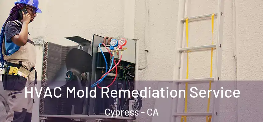 HVAC Mold Remediation Service Cypress - CA