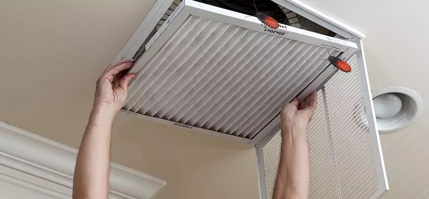 Preventive Cockroach-Proofing for Ducts in Cypress