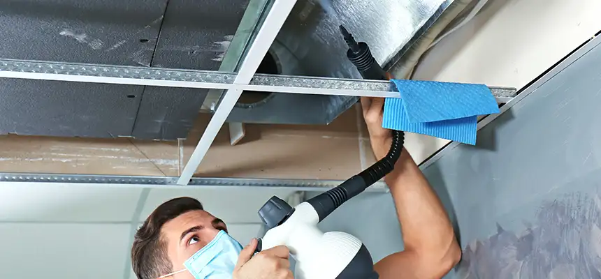 Our Air Duct Rodent Removal Services in Cypress, CA