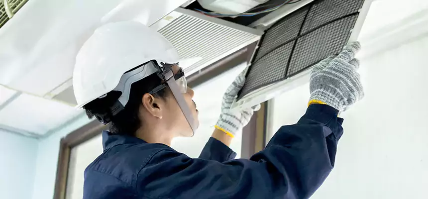 Our Mold & Mildew Removal from Air Ducts Services in Cypress, CA