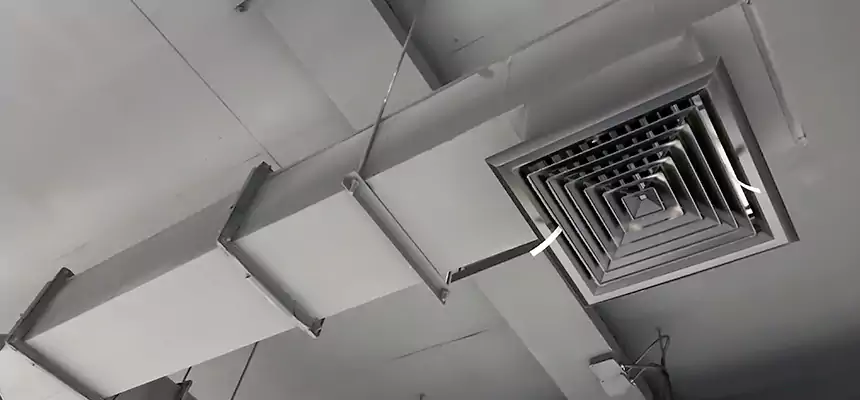 Our Rodent Droppings In Vents Services in Cypress, CA