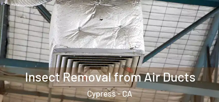  Insect Removal from Air Ducts Cypress - CA