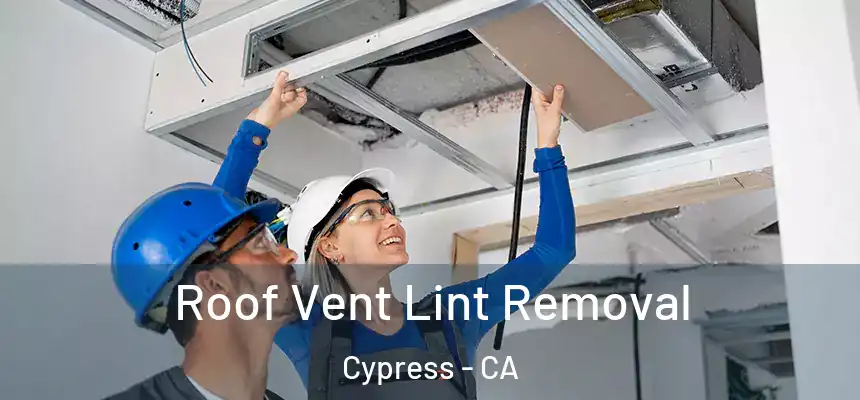  Roof Vent Lint Removal Cypress - CA