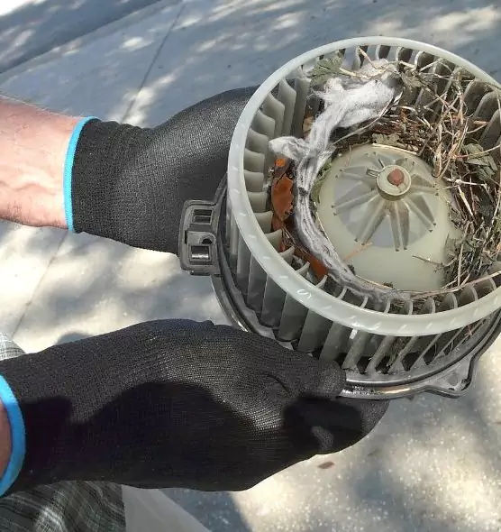 About Air Duct Mice Removal in Cypress, CA