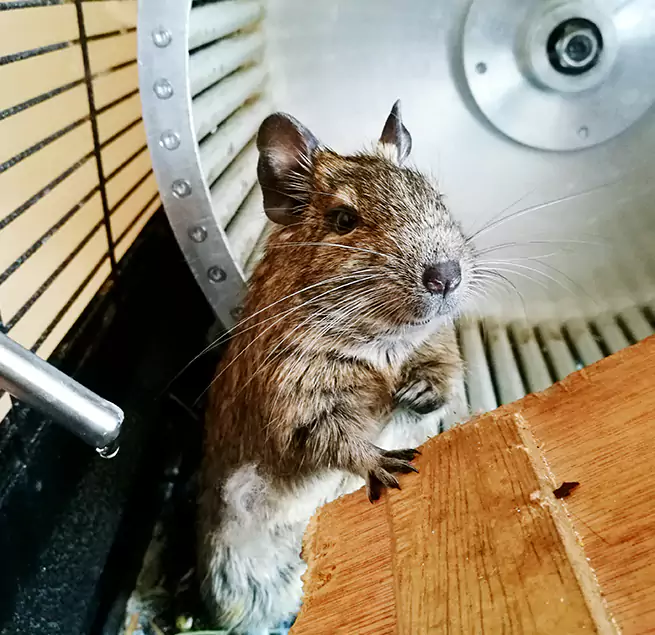 Why Homeowners & Businesses Trust Us Cypress, CA?