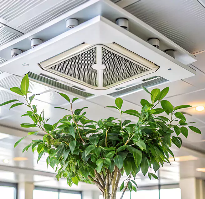 Why Homeowners & Businesses Trust Us in Cypress, CA?