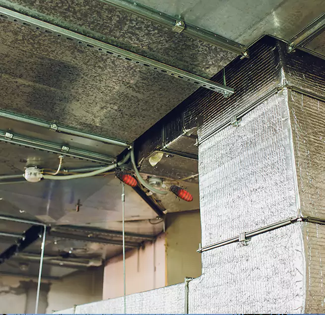 Why Homeowners & Businesses Trust Us Cypress, CA?