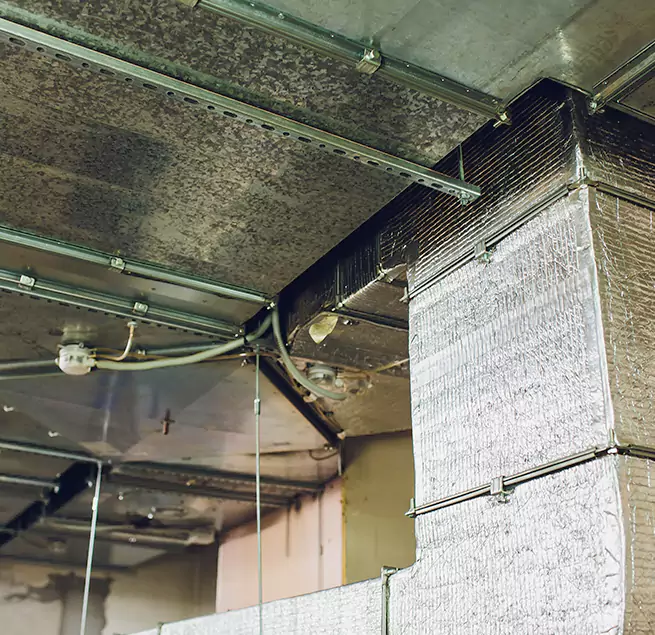 Why Homeowners & Businesses Trust Us in Cypress, CA?